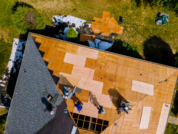 Best Metal Roofing Contractor  in Ruckersville, VA